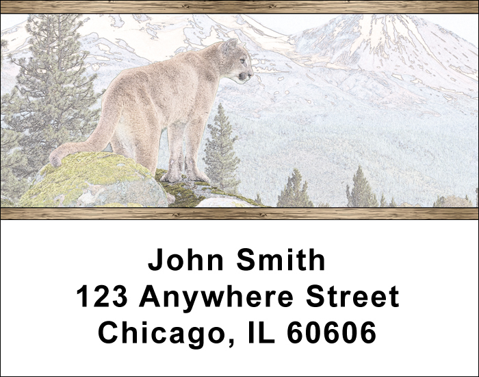 North American Wildlife