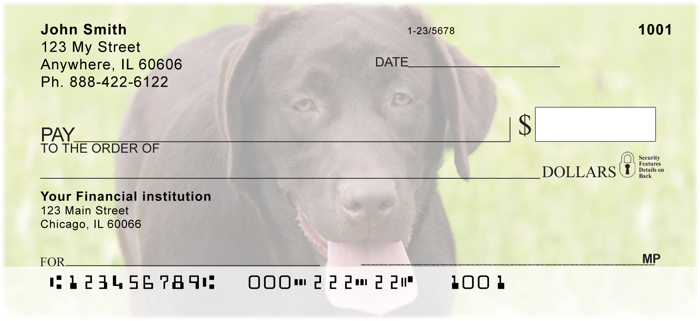 Oh So Chocolate Labs<br>DOG-54